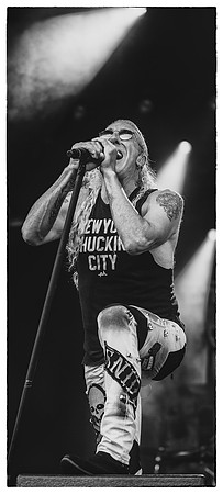 2019-06-26 Dee Snider på Liseberg (156)-Redigera